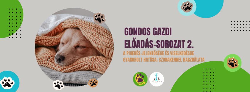 Folytatódik kedden a Gondos Gazdik kutyás előadássorozat – ezúttal a pihenés lesz a téma